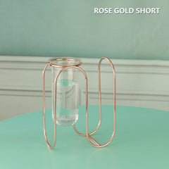 Creative golden Glass Vase