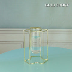 Creative golden Glass Vase